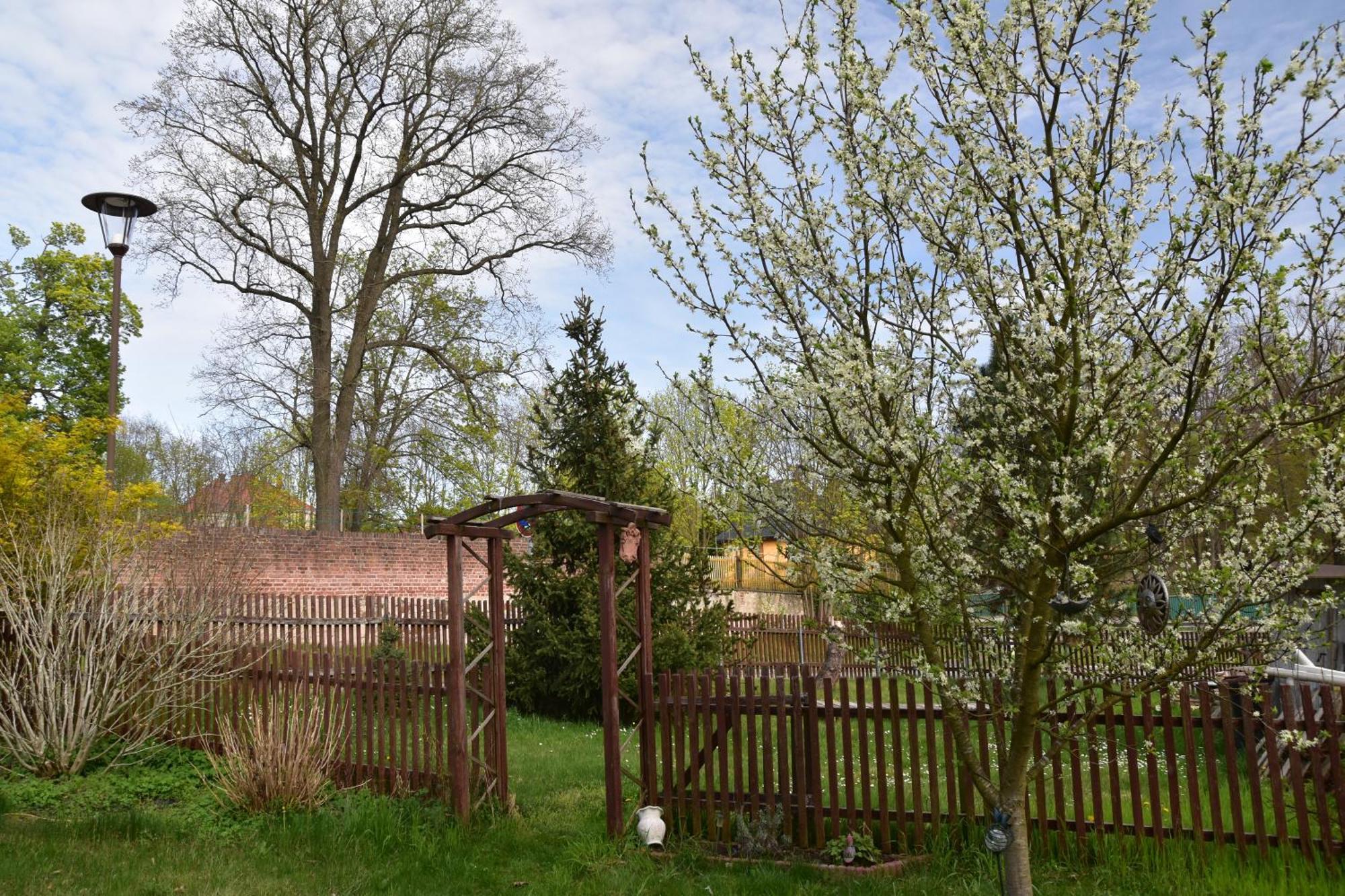 Ferienwohnung Und Pension "Zur Aue" Konigsbruck Exterior photo